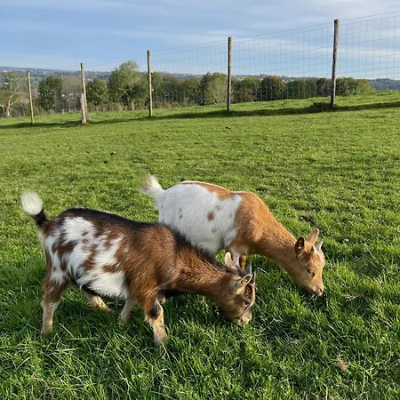 La Perle Du Fierain 롯지 베르비에