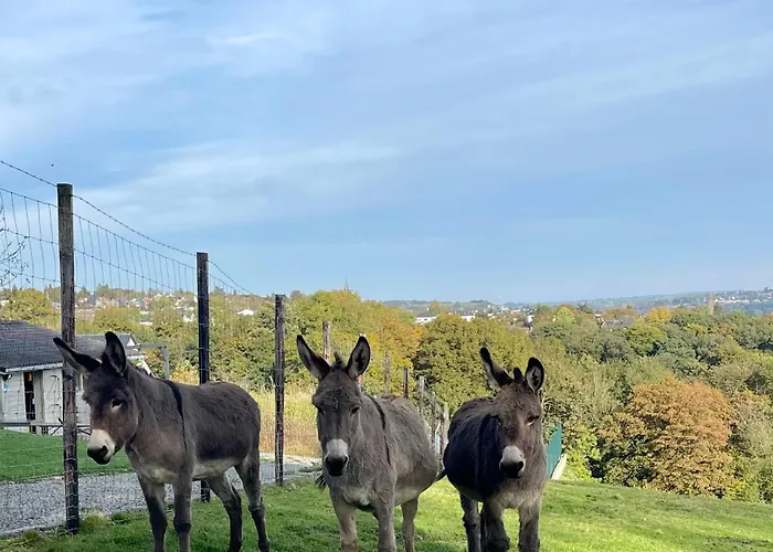 La Perle Du Fierain Lodge Verviers