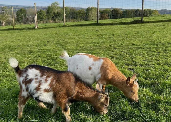 La Perle Du Fierain Lodge Verviers